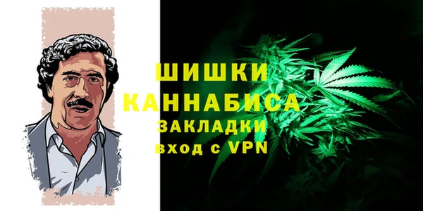 спайс Верея